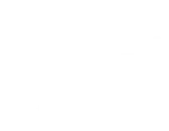 Logo Tyrol